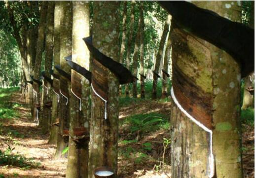 Unang-Beses na Pagbili ng Air Compressor para sa Pabrika ng Mga Produktong Rubber: Isang Kumpletong Gabay mula sa Pagpili hanggang sa Pag-install